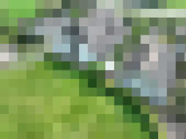 Holterweg 135 Lettele thumbnail 82