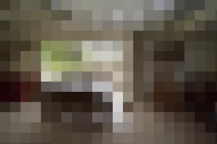 Holterweg 135 Lettele thumbnail 9