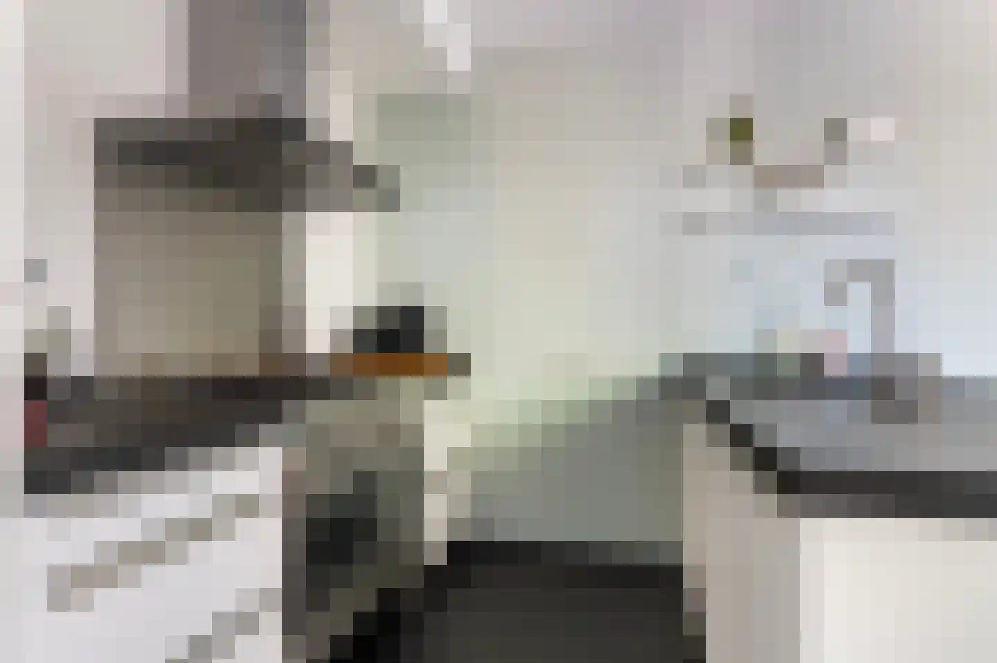 Holterweg 14 Markelo thumbnail 13