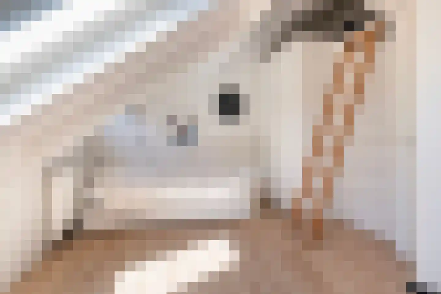 Holterweg 14 Markelo thumbnail 26