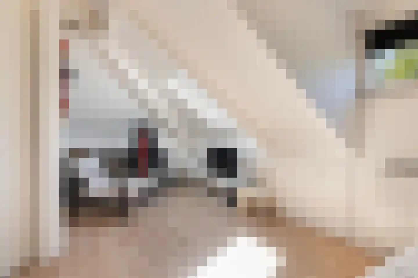 Holterweg 14 Markelo thumbnail 27