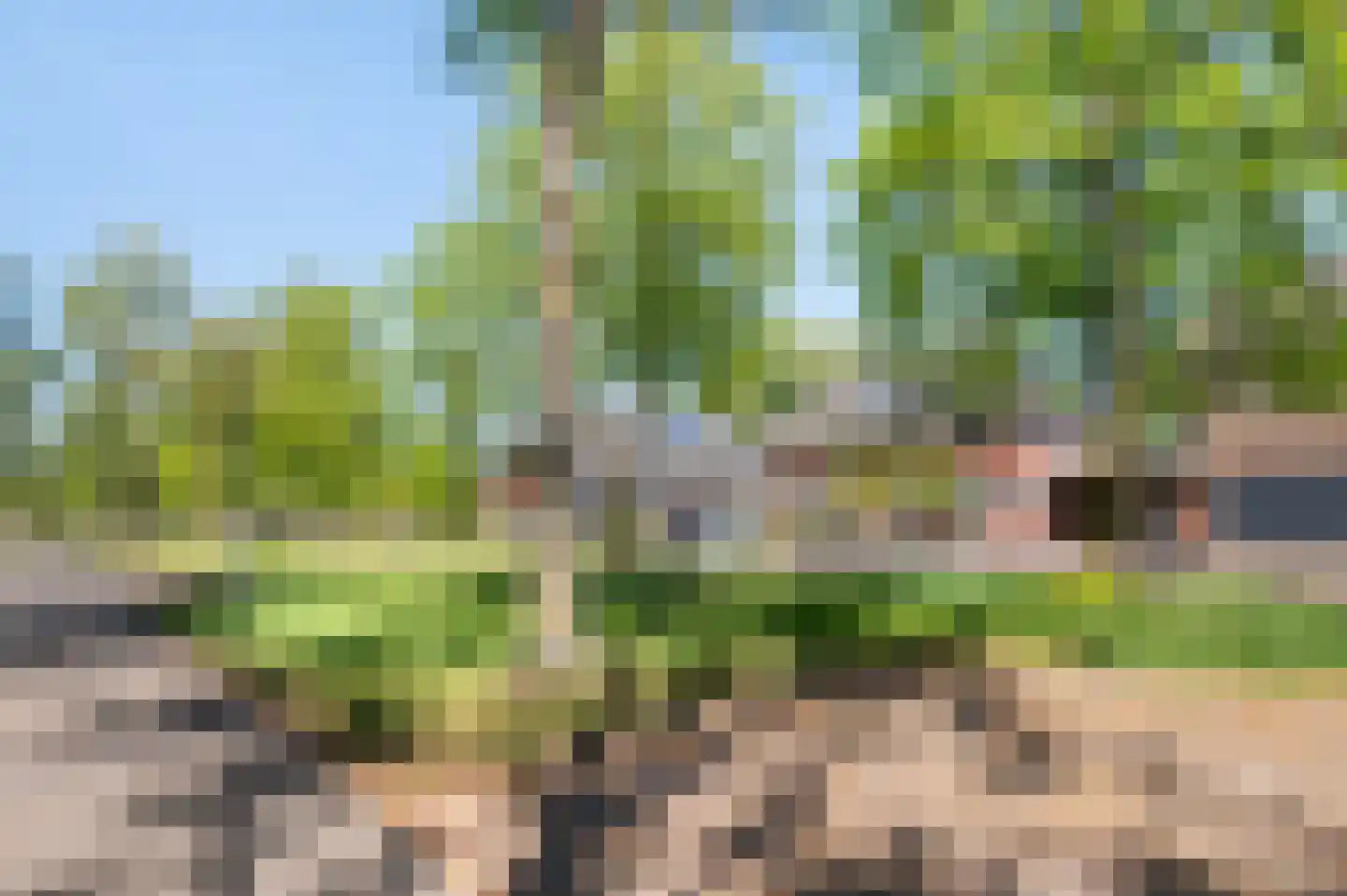 Holterweg 14 Markelo thumbnail 34