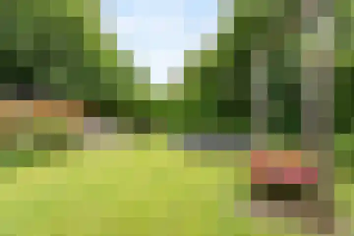 Holterweg 15 Nijverdal thumbnail 13