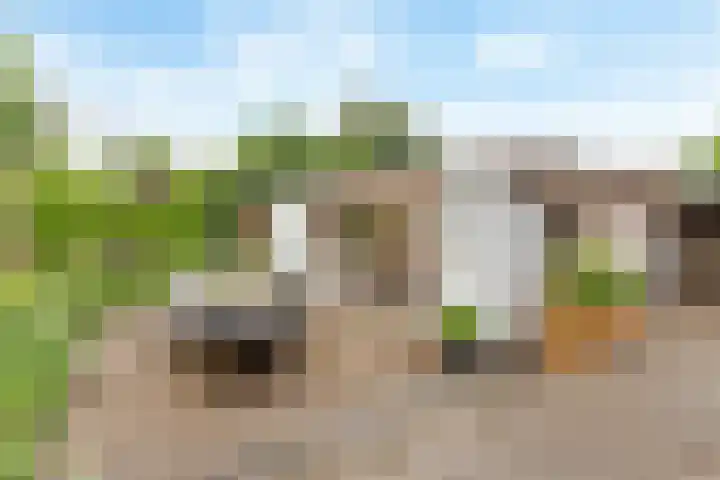 Holterweg 15 Nijverdal thumbnail 15