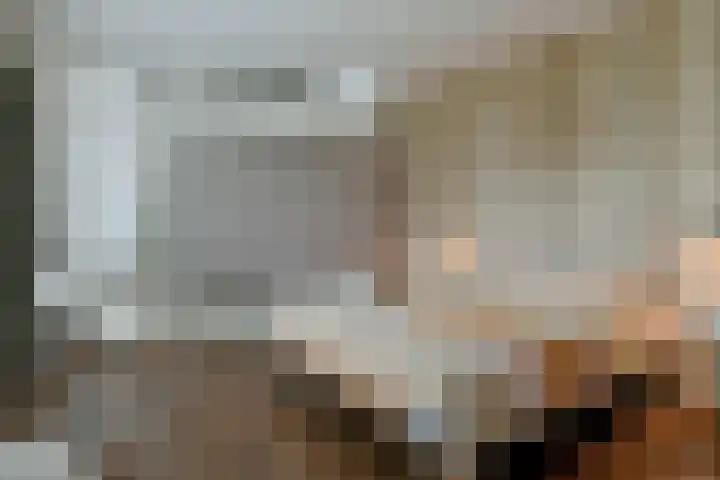 Holterweg 152 A Bathmen thumbnail 17