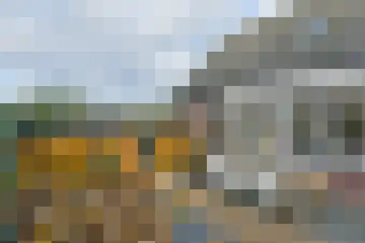 Holterweg 152 A Bathmen thumbnail 31