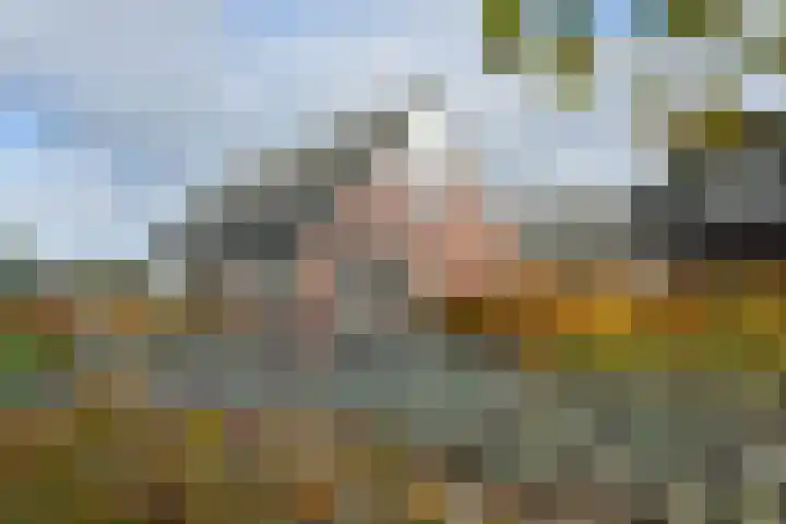 Holterweg 152 A Bathmen thumbnail 33