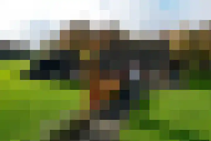 Holterweg 152 A Bathmen thumbnail 4