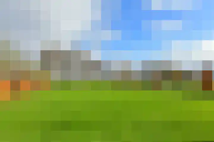 Holterweg 152 A Bathmen thumbnail 43