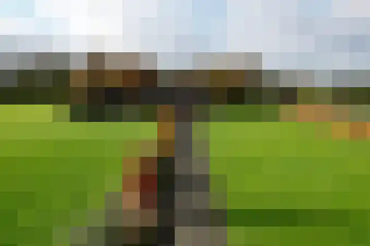 Holterweg 152 A Bathmen thumbnail 45