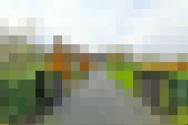 Holterweg 152 A Bathmen thumbnail 5