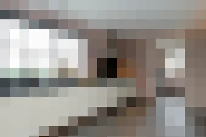 Holterweg 152 A Bathmen thumbnail 8