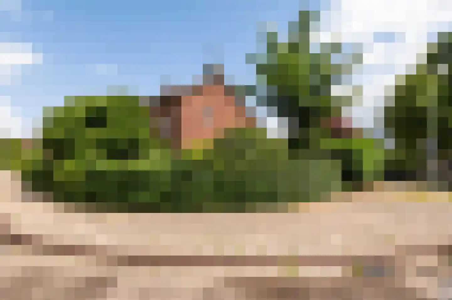 Holterweg 161 Doetinchem thumbnail 4