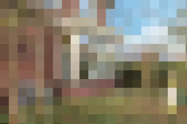 Holterweg 172 Doetinchem thumbnail 9