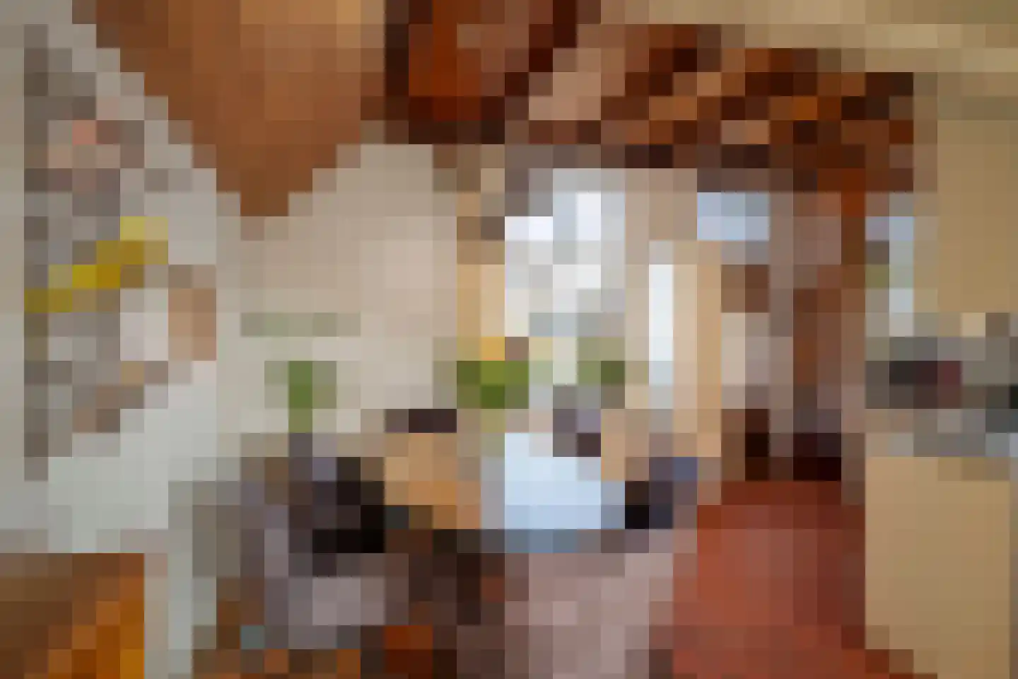 Holterweg 20 Deventer thumbnail 14