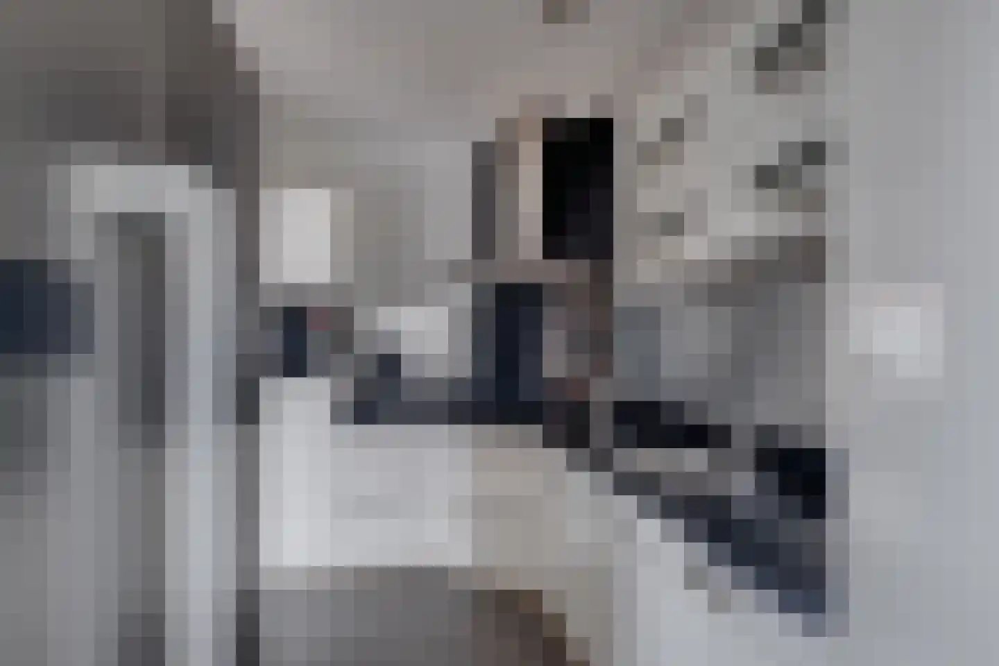 Holterweg 22 Laren thumbnail 10