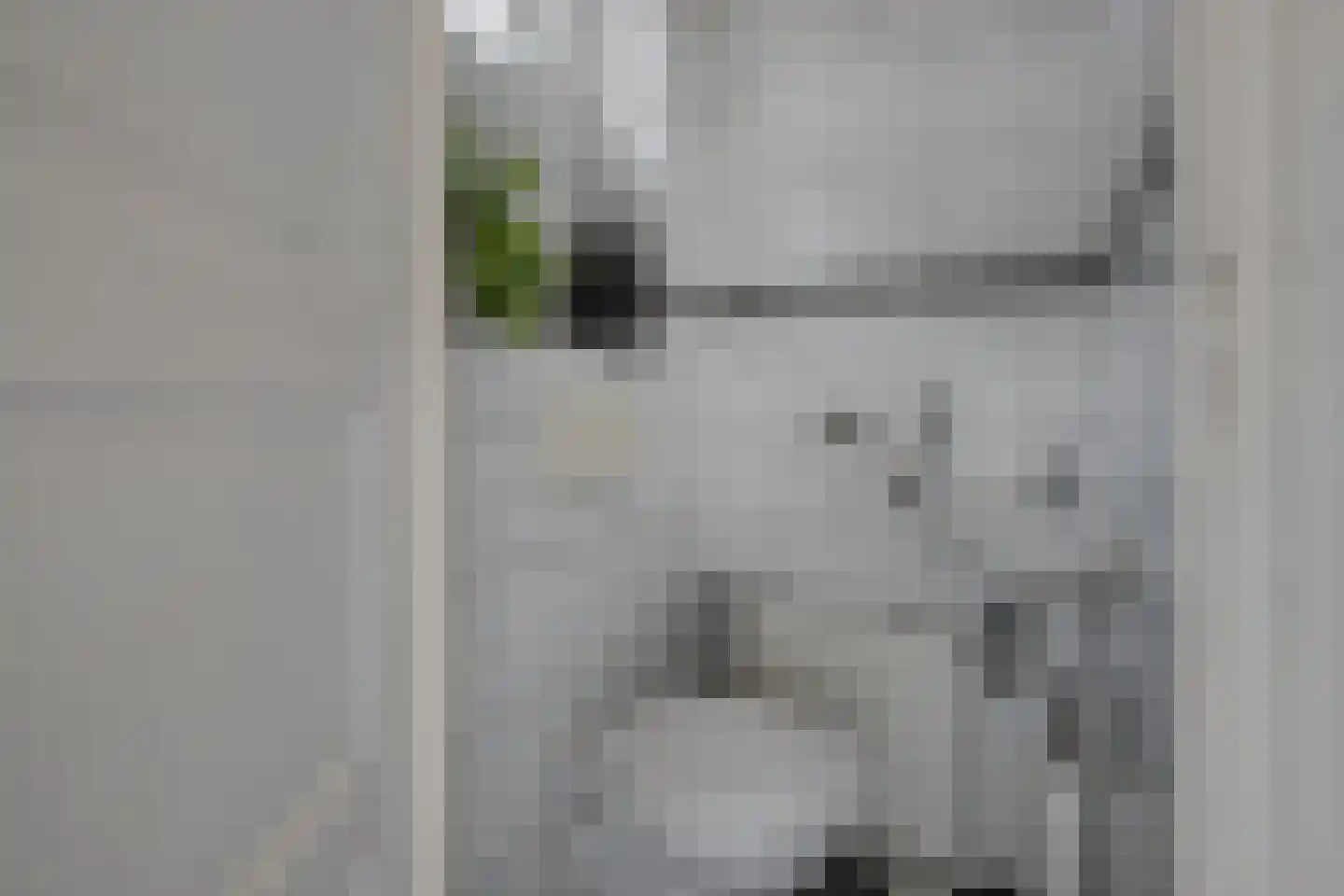 Holterweg 22 Laren thumbnail 11