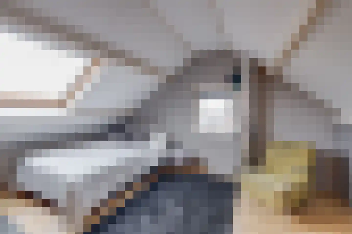 Holterweg 22 Laren thumbnail 18