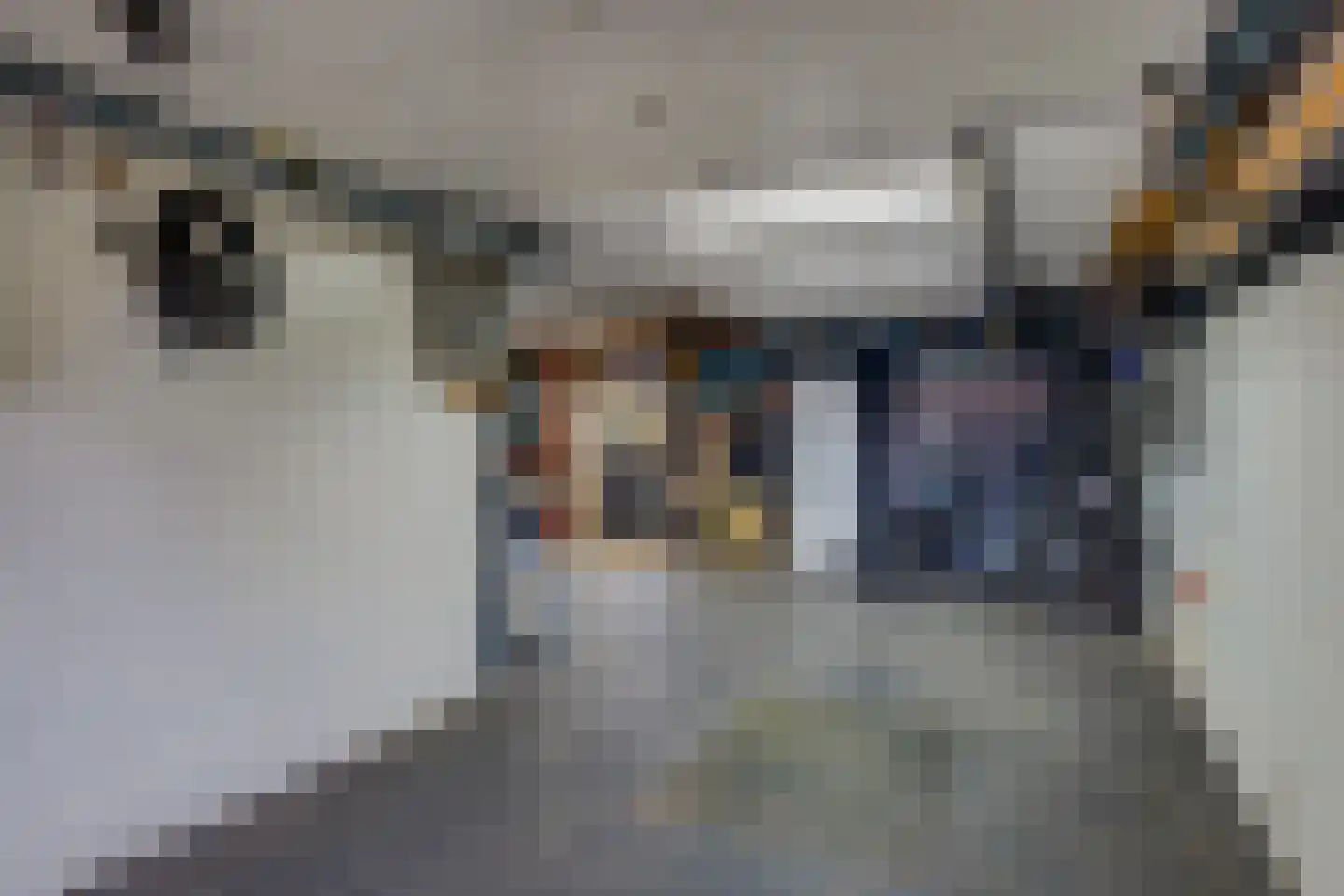 Holterweg 22 Laren thumbnail 20