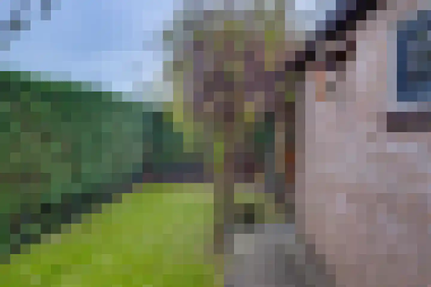 Holterweg 22 Laren thumbnail 23