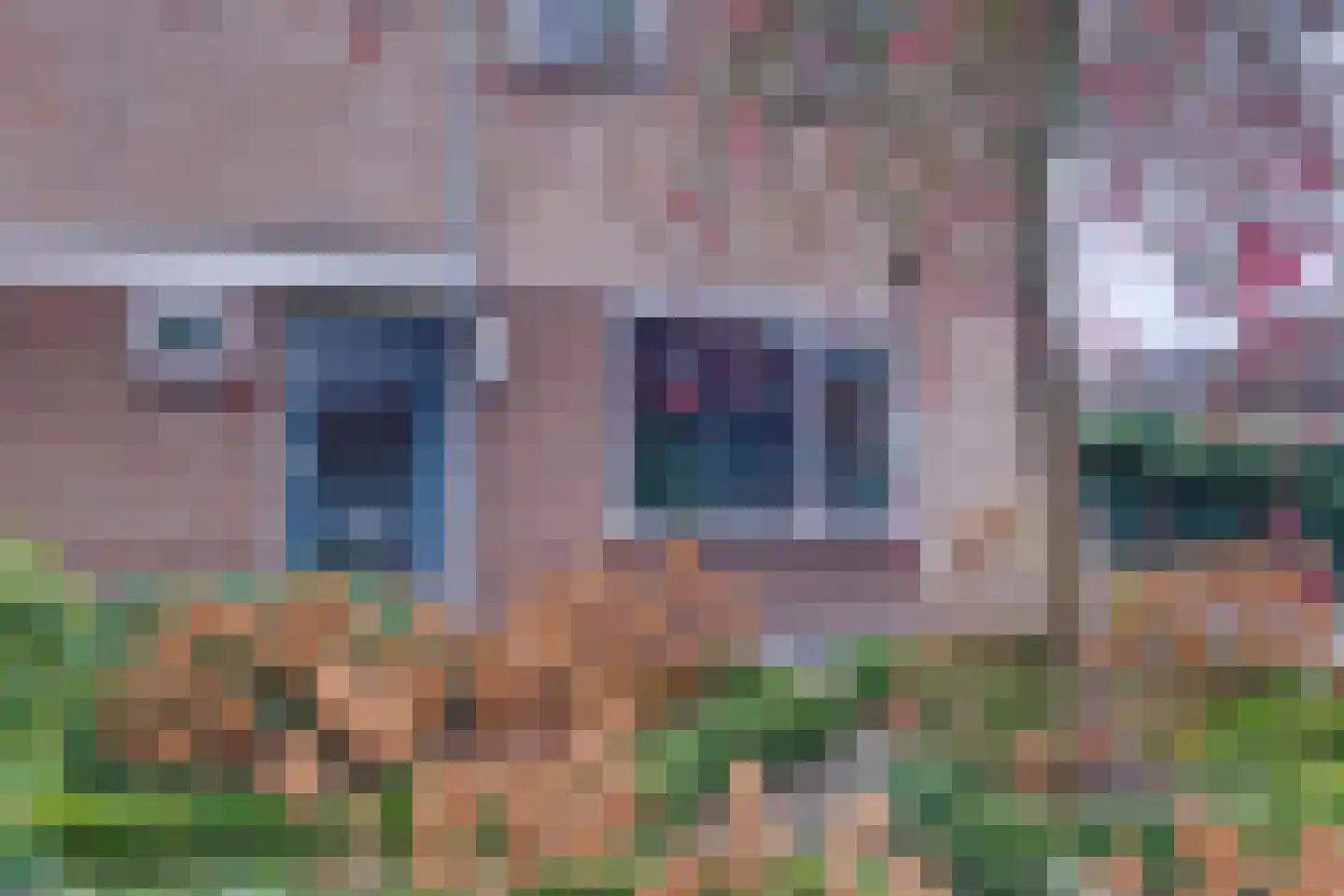 Holterweg 22 Laren thumbnail 26
