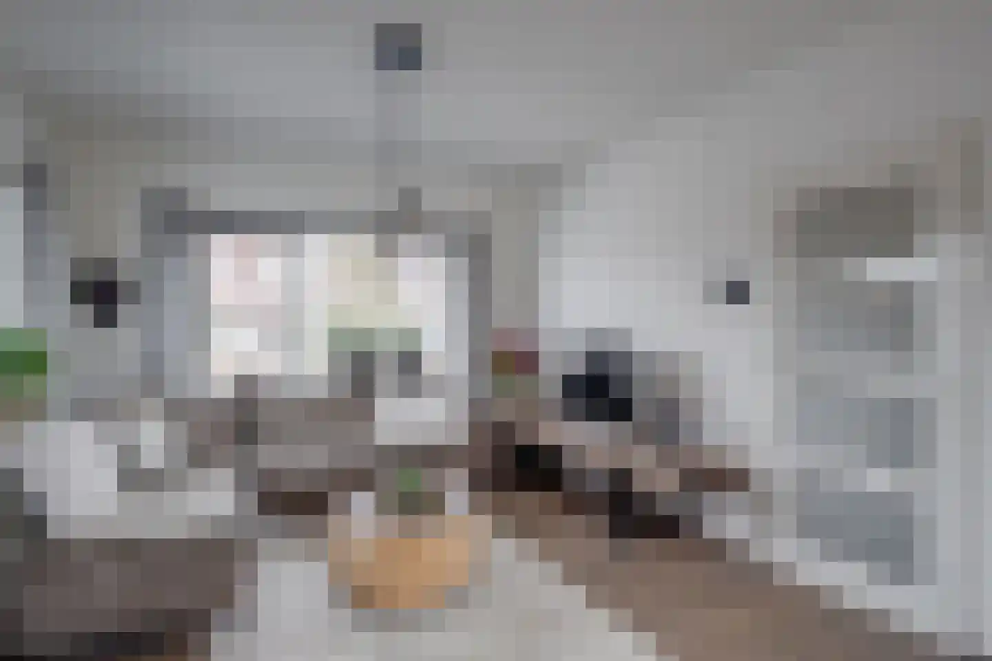 Holterweg 22 Laren thumbnail 4
