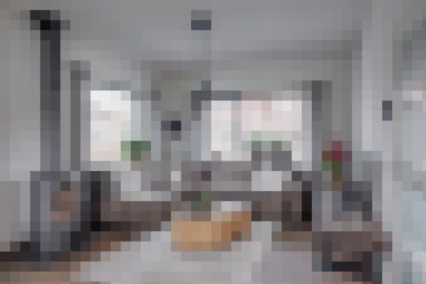 Holterweg 22 Laren thumbnail 5