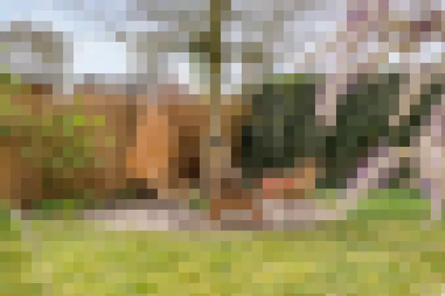 Holterweg 26 a Nijverdal thumbnail 47