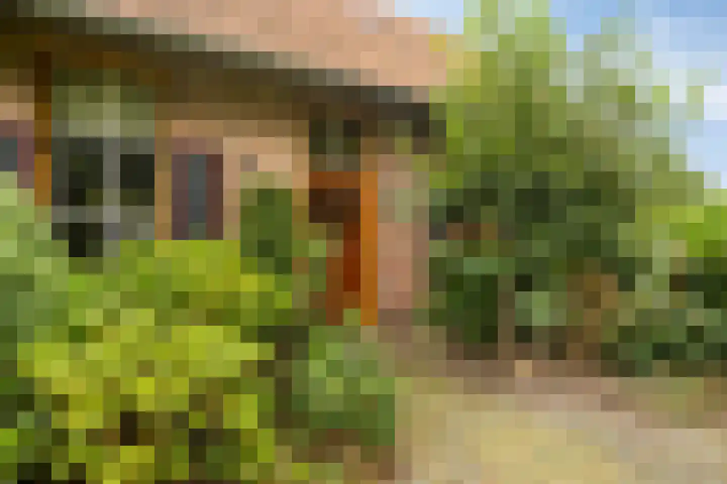 Hölterweg 26 Rekken thumbnail 10