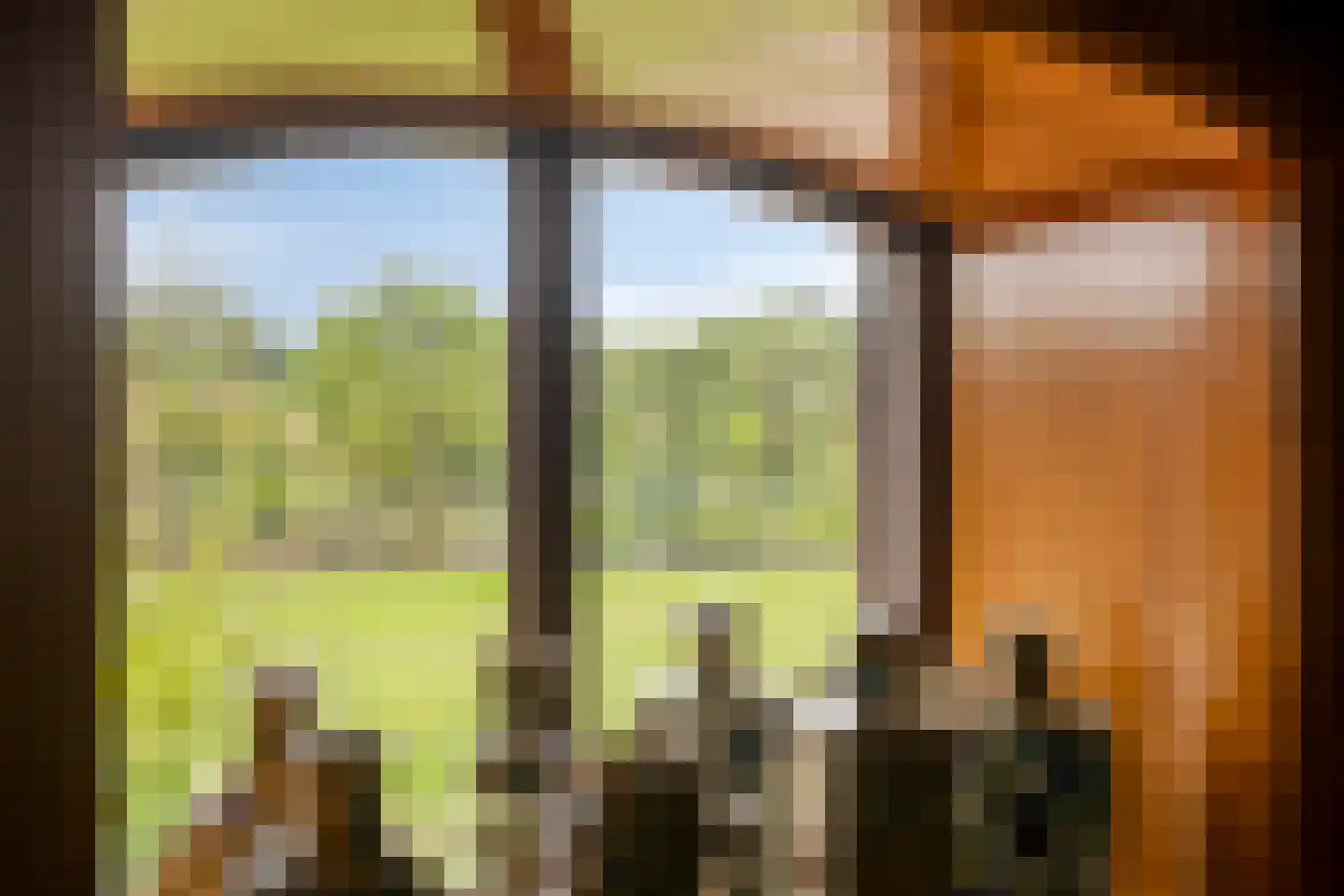Hölterweg 26 Rekken thumbnail 18