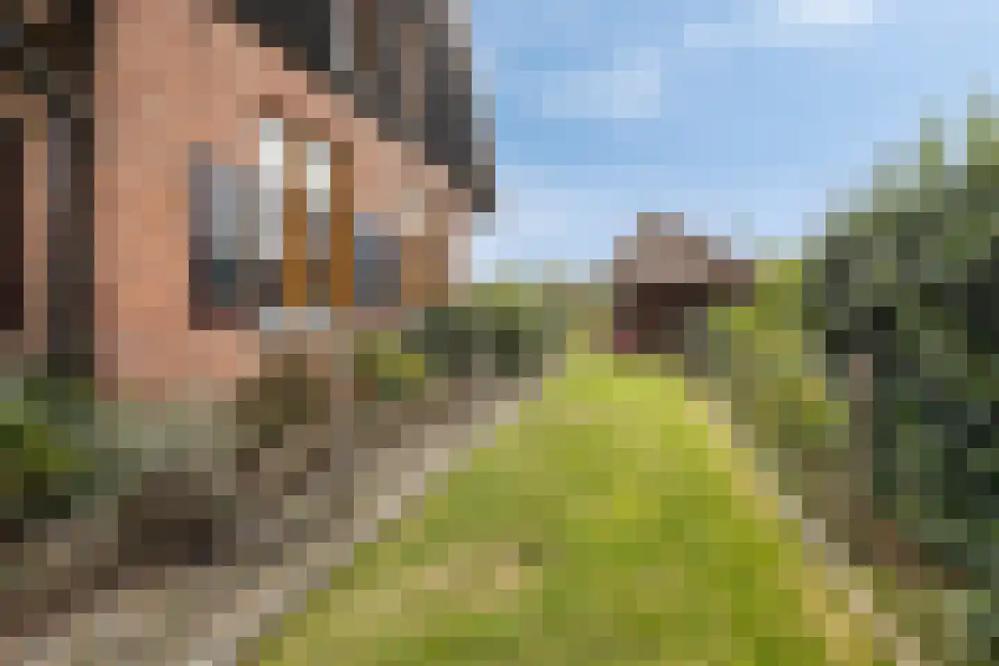 Hölterweg 26 Rekken thumbnail 59