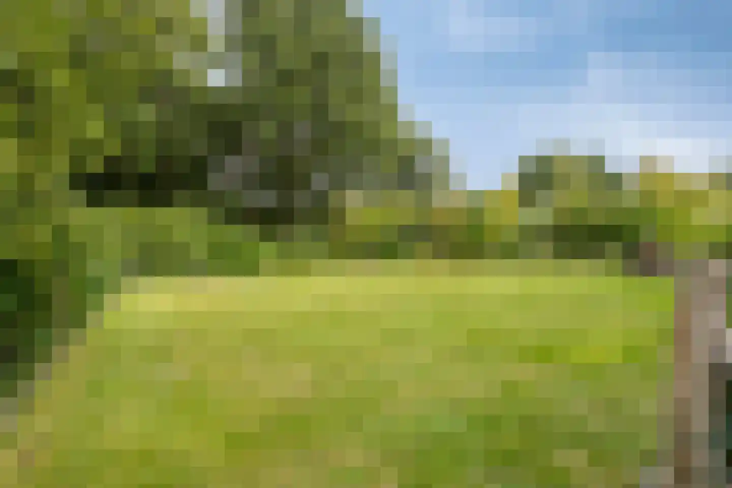 Hölterweg 26 Rekken thumbnail 60