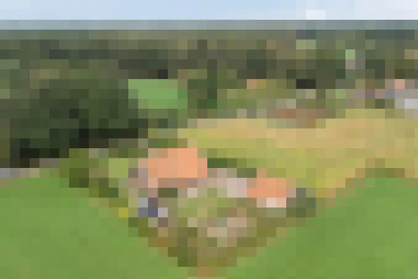 Hölterweg 26 Rekken thumbnail 64
