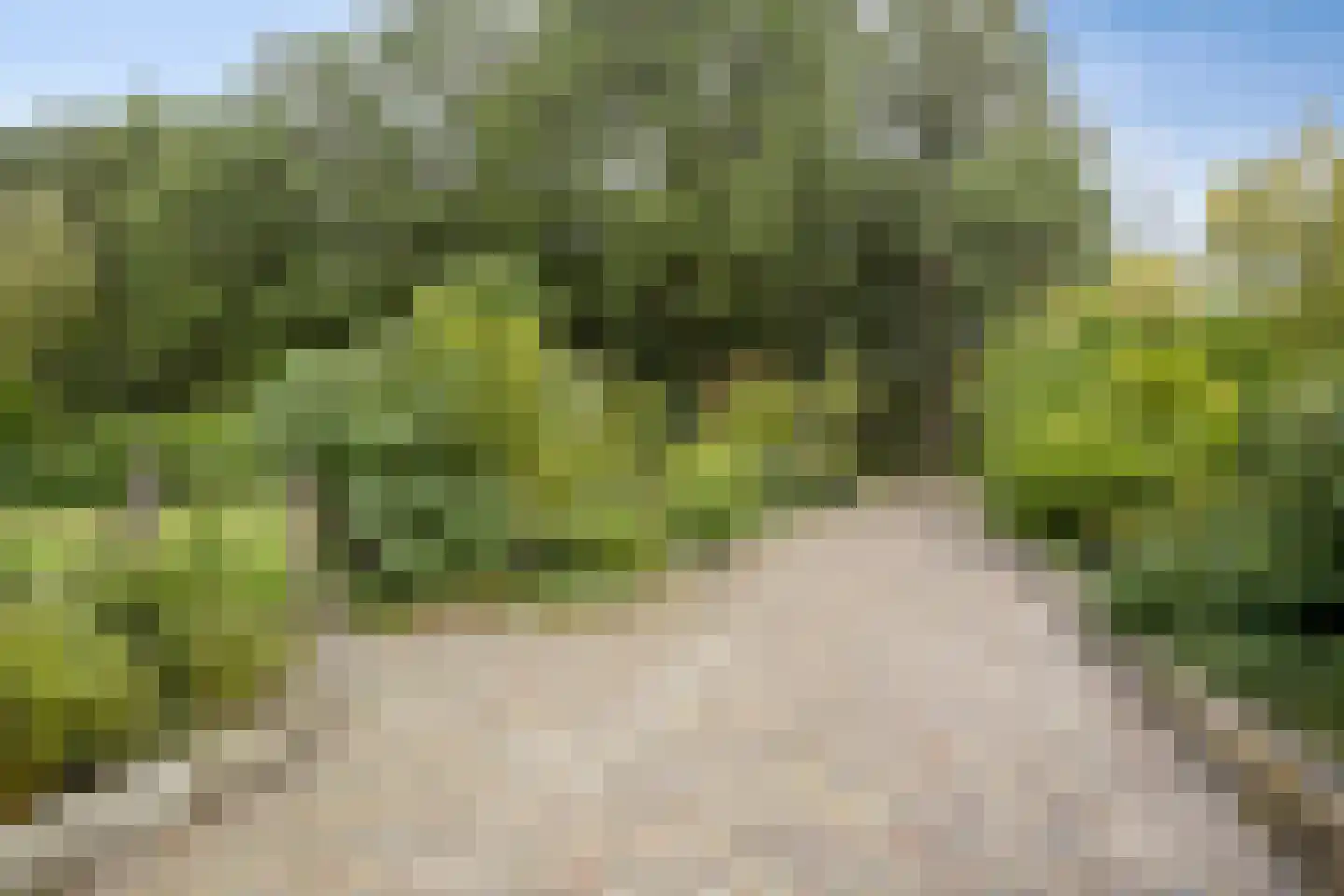 Hölterweg 26 Rekken thumbnail 7