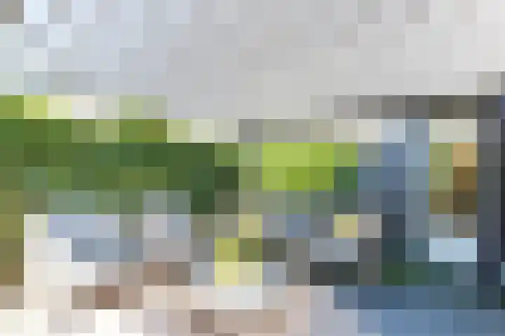 Holterweg 36 Doetinchem thumbnail 12