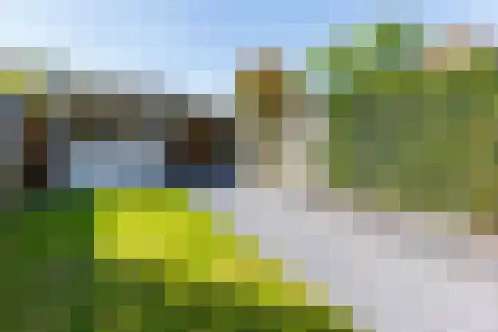Holterweg 36 Doetinchem thumbnail 14