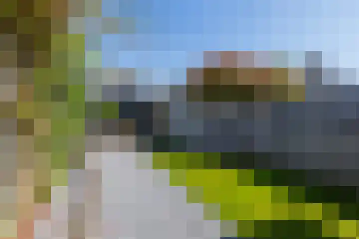 Holterweg 36 Doetinchem thumbnail 16