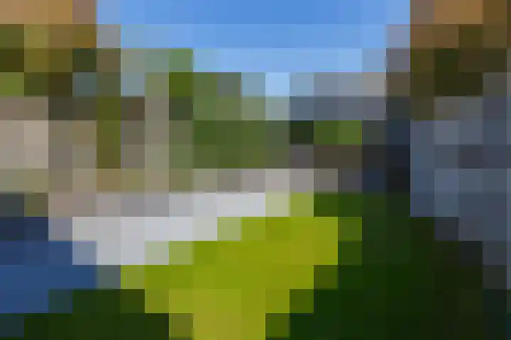 Holterweg 36 Doetinchem thumbnail 17