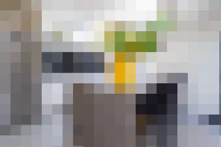 Holterweg 36 Doetinchem thumbnail 8