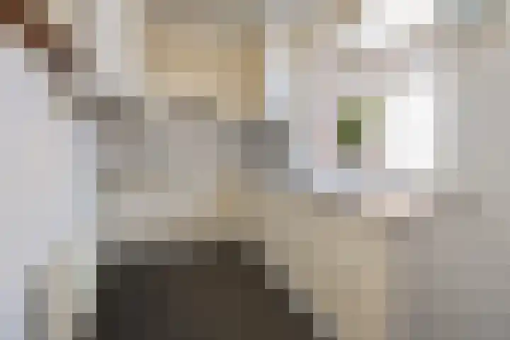 Holterweg 5 Heeten thumbnail 10