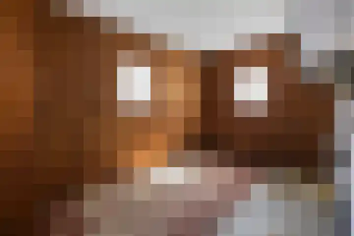 Holterweg 5 Heeten thumbnail 16