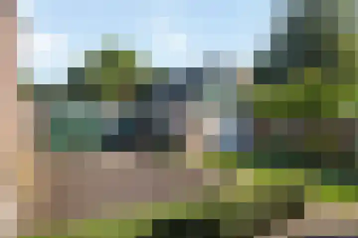 Holterweg 5 Heeten thumbnail 19