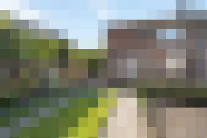 Holterweg 5 Heeten thumbnail 20
