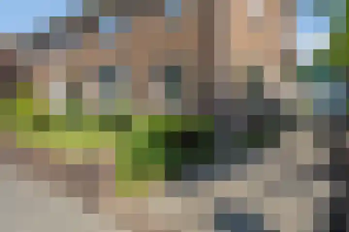 Holterweg 5 Heeten thumbnail 4