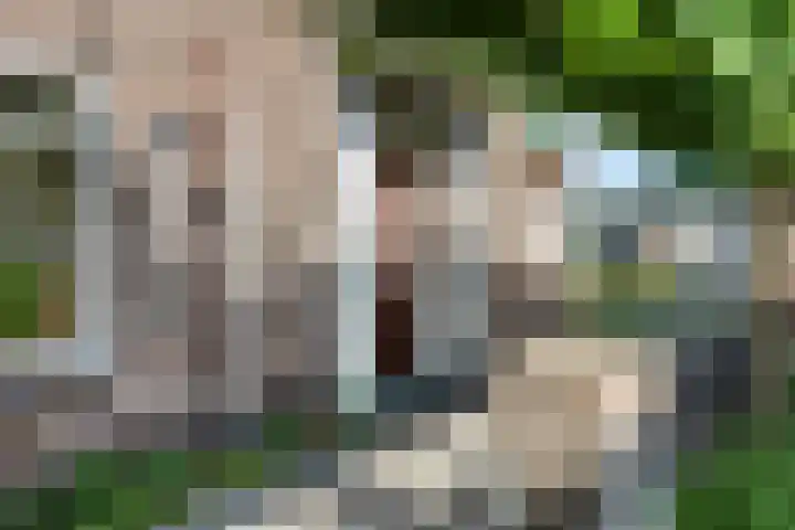 Holterweg 5 Heeten thumbnail 5