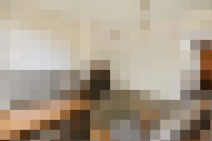 Holterweg 5 Heeten thumbnail 7