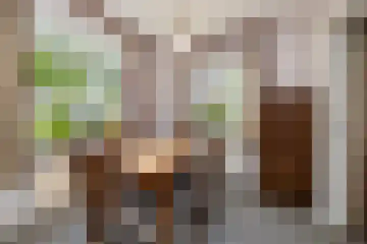 Holterweg 5 Heeten thumbnail 8