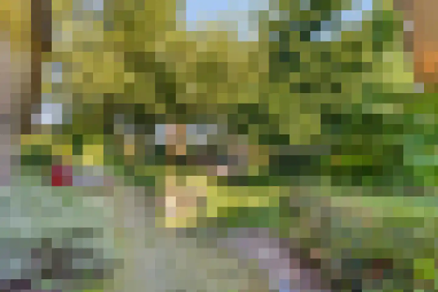 Holterweg 52 A Heeten thumbnail 5