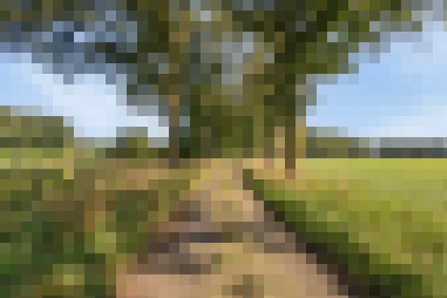 Holterweg 52 B Heeten thumbnail 7