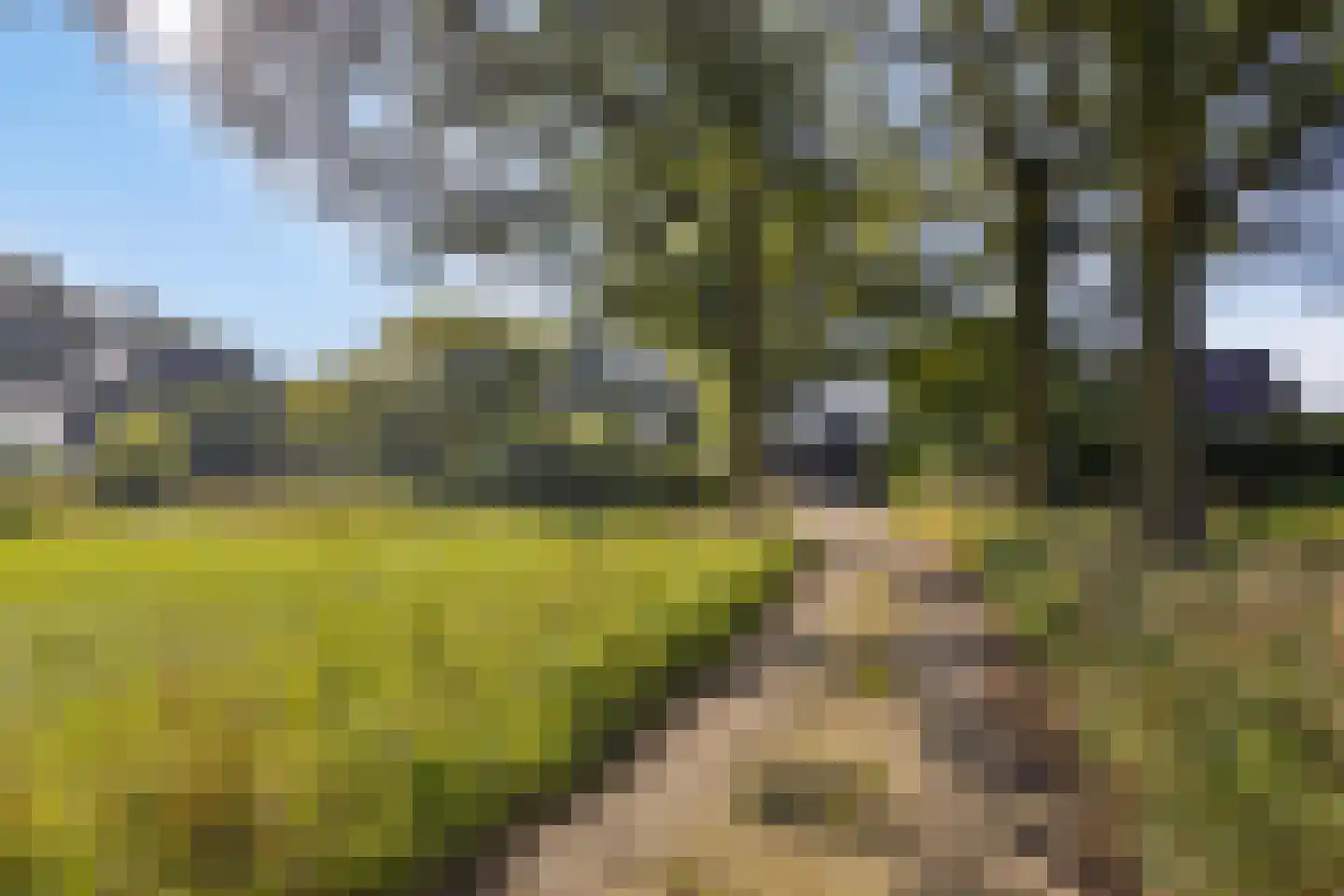 Holterweg 52 B Heeten thumbnail 8